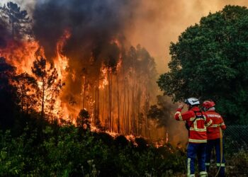 EMITE PROTECCIÓN CIVIL COAHUILA RECOMENDACIONES PARA EVITAR INCENDIOS FORESTALES EN SEMANA SANTA