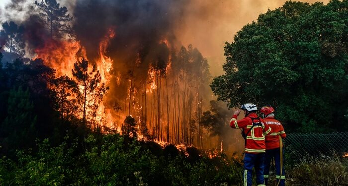 EMITE PROTECCIÓN CIVIL COAHUILA RECOMENDACIONES PARA EVITAR INCENDIOS FORESTALES EN SEMANA SANTA