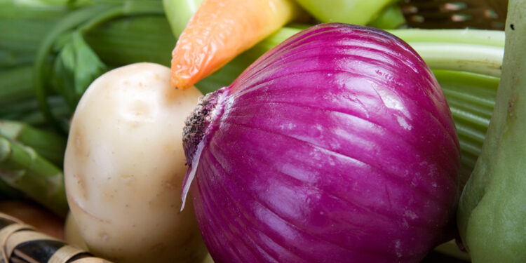 Certifica Agricultura inocuidad en producción y empaques de cebolla en Chihuahua