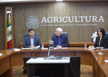 Cuenta México con lineamientos e instrumentos para el cuidado de las abejas