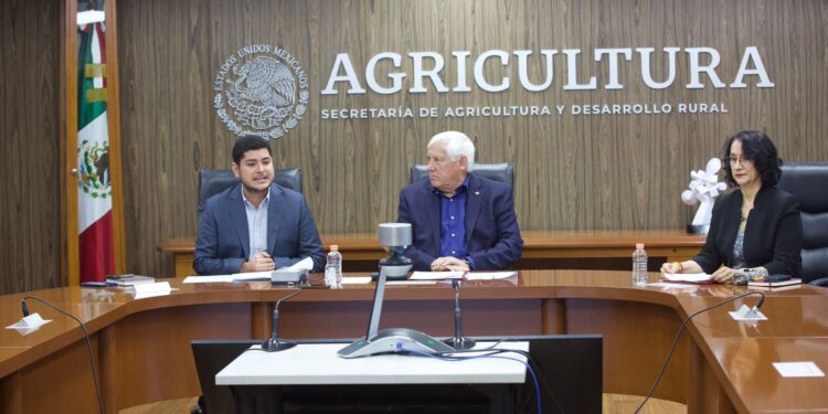 Cuenta México con lineamientos e instrumentos para el cuidado de las abejas