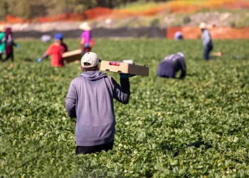 ¿Y aquellos tiempos?