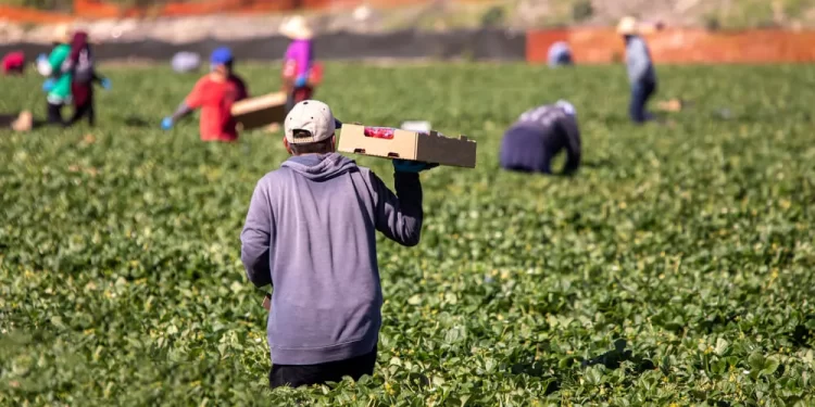 ¿Y aquellos tiempos?
