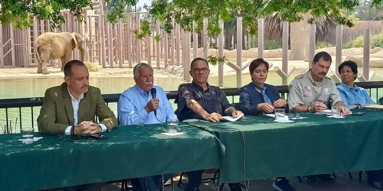 LOS ANIMALES EN MÉXICO DEBEN DEJAR DE SER UTILIZADOS COMO BOTÍN POLÍTICO: AZCARM