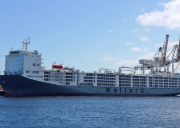 Un «macro establo» flotante: el barco que transporta a más de 75.000 ovejas a través de los océanos