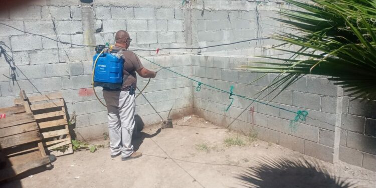 Por temporada de calor, alertan por plagas