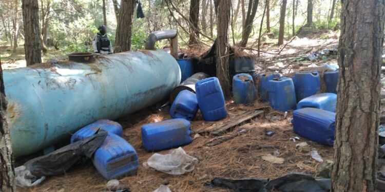 Destaca Guardia Nacional la destrucción de 19 narcolaboratorios