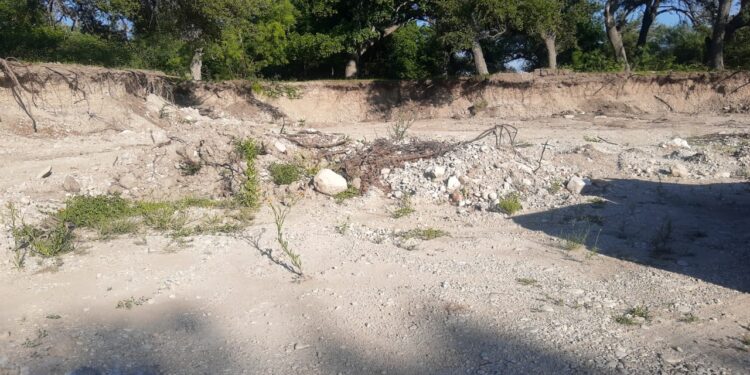 Descubren tala clandestina y saqueo de material pétreo sin permiso