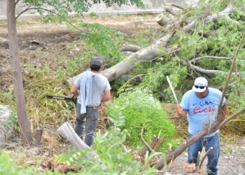 Con dinamismo se trabaja para lograr una ciudad limpia y ordenada: GM