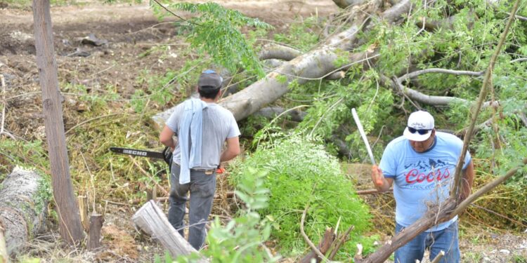Con dinamismo se trabaja para lograr una ciudad limpia y ordenada: GM