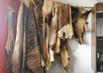 Piden reubicar el museo a un lugar que sea más atrayente