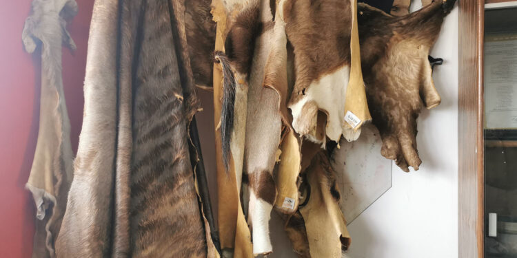 Piden reubicar el museo a un lugar que sea más atrayente