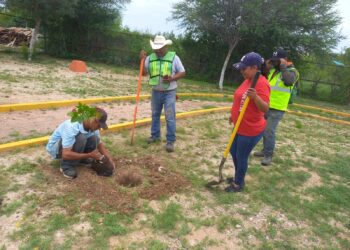 Impulsan campaña de reforestación para preservar el medio ambiente