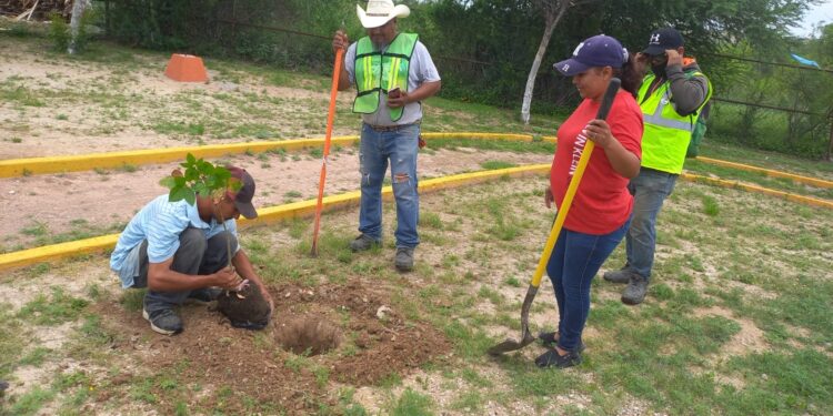 Impulsan campaña de reforestación para preservar el medio ambiente