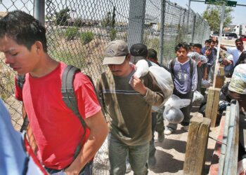 Más de la mitad de los migrantes expulsados bajo el Título 42 en EU son mexicanos
