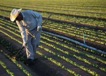 Urgen empresarios a Biden a emitir más visas de trabajo