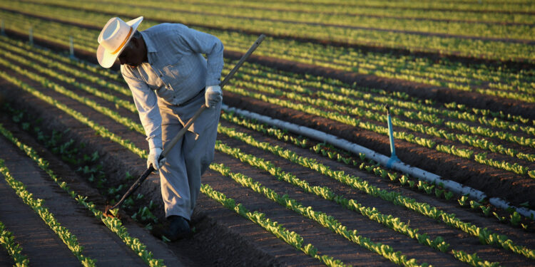 Urgen empresarios a Biden a emitir más visas de trabajo