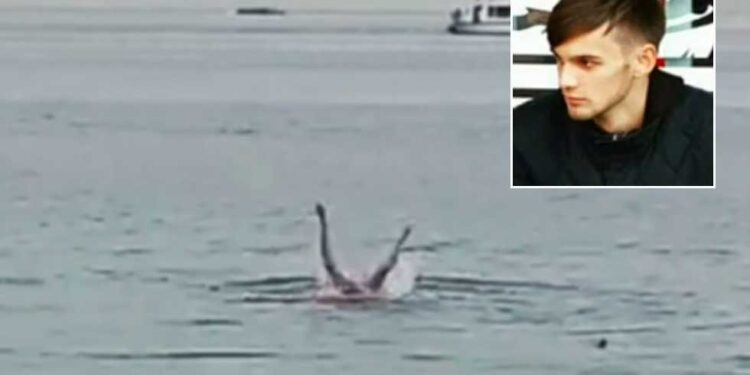 Tiburón tigre se comió a un joven en una playa de Egipto