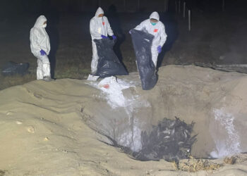 Concluye Agricultura operativo de emergencia por mortalidad atípica de aves marinas