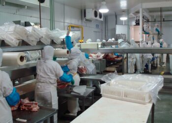 Afinan Agricultura e industria cárnica programa piloto de alto desempeño