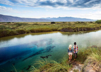 ‘Decidí hacer algo drástico, despedirme de Cuatro Ciénegas… no quiero ser testigo de la muerte de más tortugas y peces’, dice Valeria Souza, investigadora