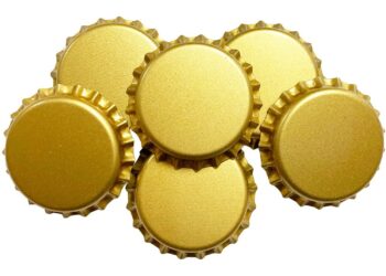 LAS CORCHOLATAS YA INICIARON LA CAMPAÑA RUMBO A LA CONTIENDA PRESIDENCIAL