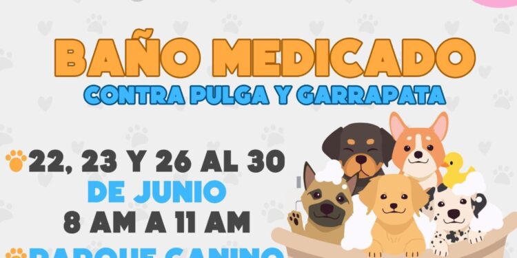PREVIENEN PROLIFERACIÓN DE GARRAPATAS CON BAÑOS MEDICADOS
