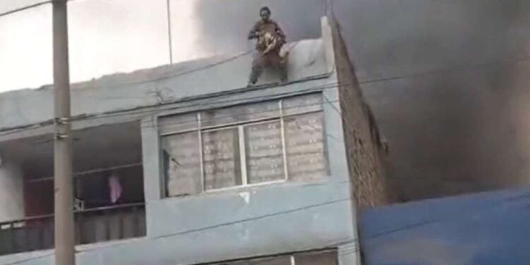 Arriesgó su vida y salvó a 25 perros de un incendio; él no tiene casa y busca a su esposa