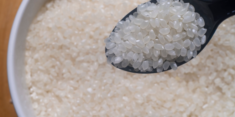 México importará arroz japonés
