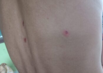 Asegura directora de SP que habrá cero tolerancias en abusos policiacos