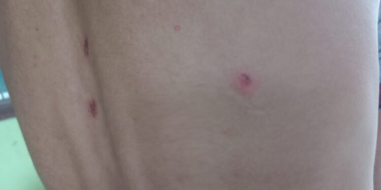 Asegura directora de SP que habrá cero tolerancias en abusos policiacos