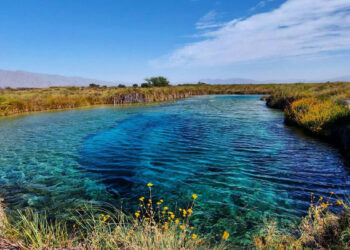 Aprecian más los de afuera