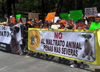 Marchan por los animales en México; miles exigen alto al maltrato animal