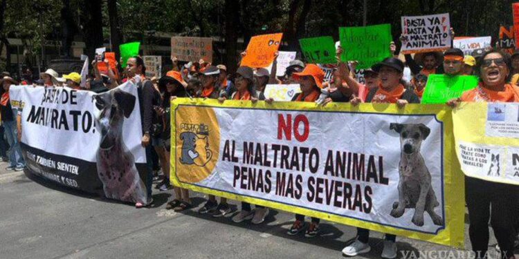 Marchan por los animales en México; miles exigen alto al maltrato animal