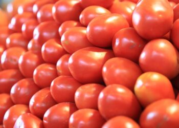 Productores de EU piden aranceles a tomate mexicano