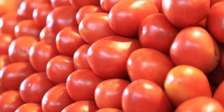 Productores de EU piden aranceles a tomate mexicano