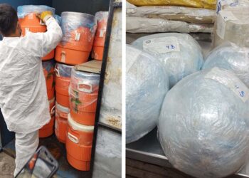 FGR destruye 36 toneladas de drogas y precursores químicos, y más de 735 mil pastillas de fentanilo