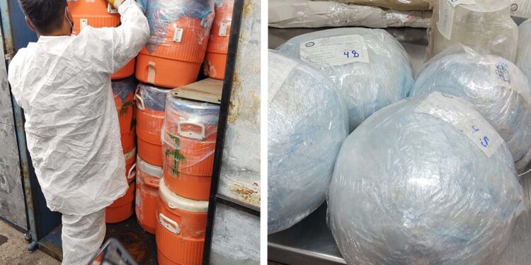 FGR destruye 36 toneladas de drogas y precursores químicos, y más de 735 mil pastillas de fentanilo