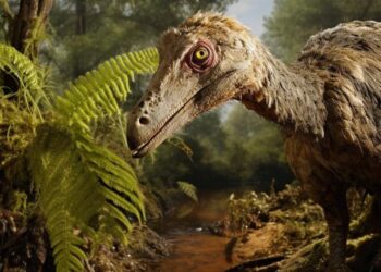Conoce al nuevo dinosaurio de Coahuila; es el primer troodóntido que se encuentra en México