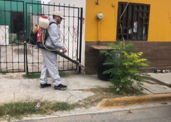 TIENE RICKETTSIA ALTO ÍNDICE DE MORTALIDAD: SALUD COAHUILA