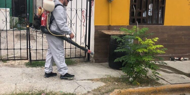 TIENE RICKETTSIA ALTO ÍNDICE DE MORTALIDAD: SALUD COAHUILA