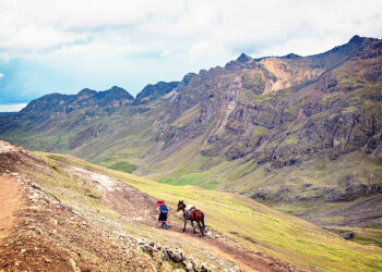 Participan más mujeres rurales en iniciativas para la producción de alimentos como los huertos familiares