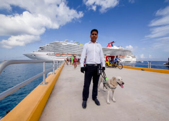 En este periodo vacacional, Agricultura refuerza acciones para salvaguardar producción de alimentos