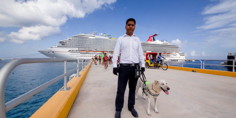 En este periodo vacacional, Agricultura refuerza acciones para salvaguardar producción de alimentos