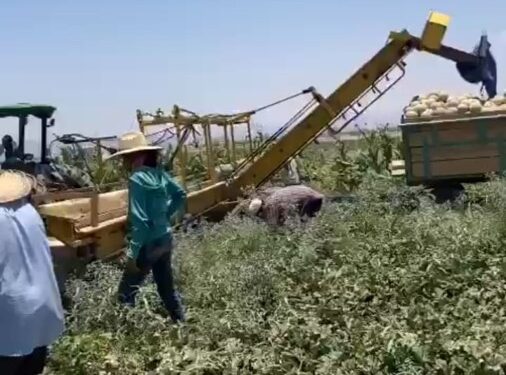 COAHUILA DESTACA EN MÉXICO POR SU PRODUCCIÓN EN EL CAMPO: INEGI