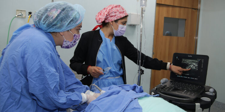 Ayudan equipos portátiles de ultrasonido en tratamiento de pacientes con dolor en Hospital de Traumatología del IMSS