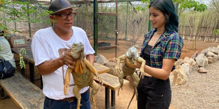 LANZAN CONVOCATORIA PARA CIENTÍFICOS Y ACADÉMICOS A PARTICIPAR EN EL XLI CONGRESO AZCARM 2023