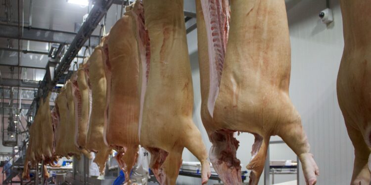 Cuenta México con agroindustrias cárnicas sostenibles que abonan a la reducción de gases de efecto invernadero