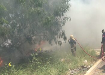 El 50% de las salidas de Bomberos son para apagar zacatales