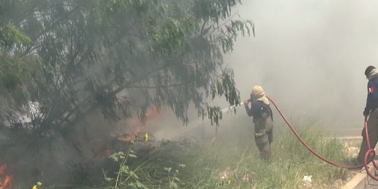 El 50% de las salidas de Bomberos son para apagar zacatales
